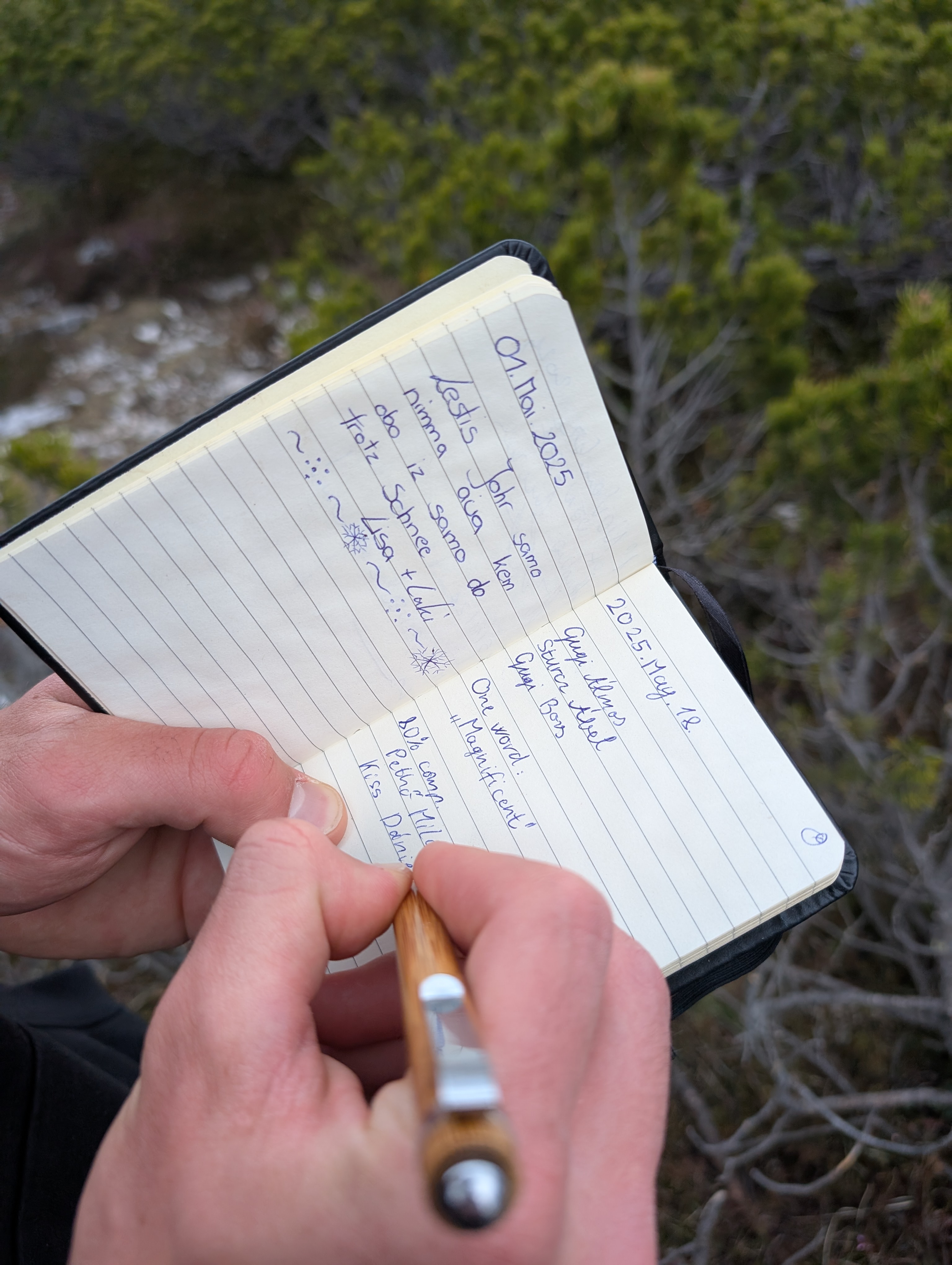 Professional web development mockup - CodeNest portfolio showcase